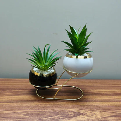 Modern black and white Planter