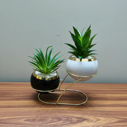 Modern black and white Planter